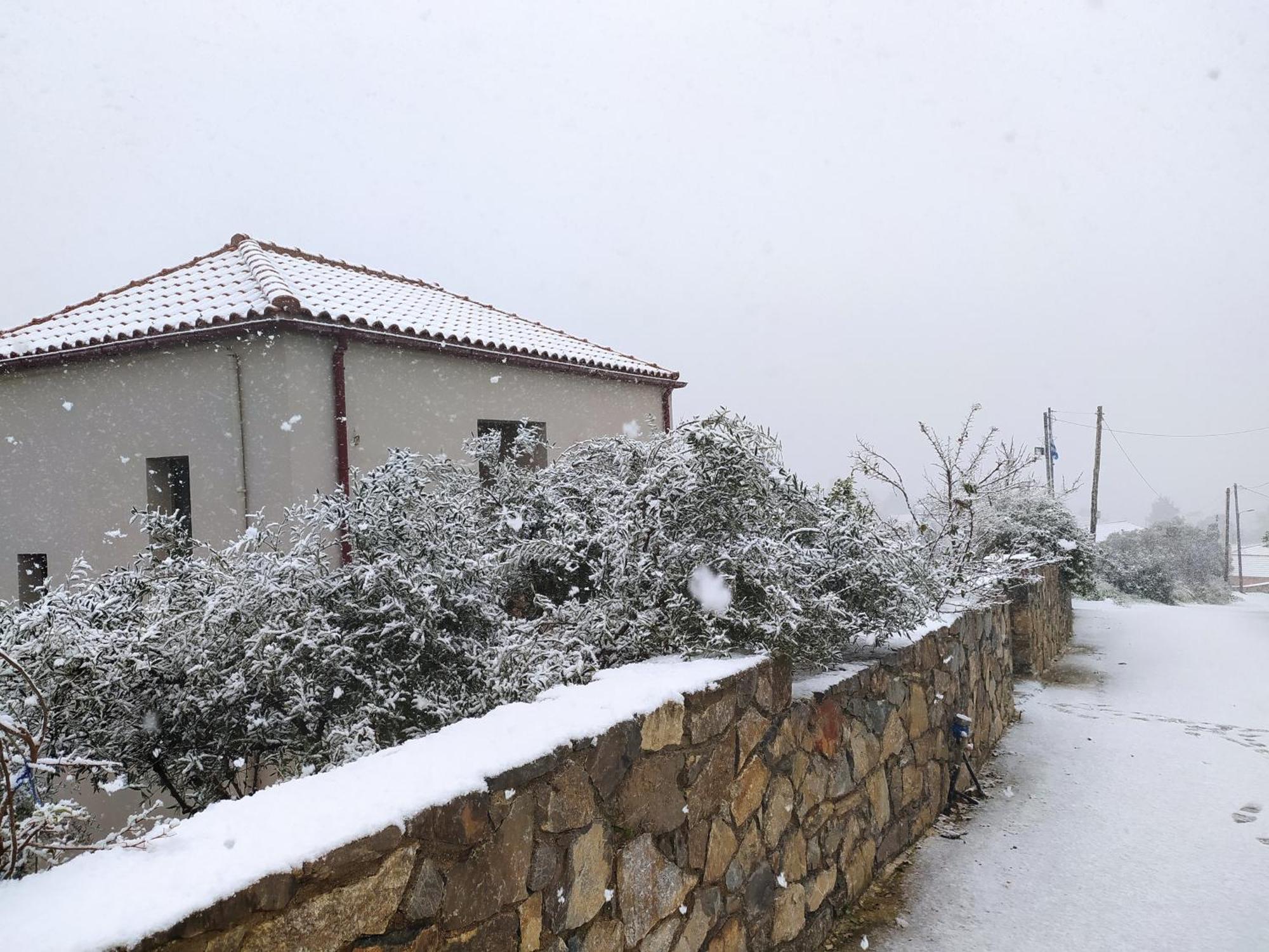 "Villa Kastania" Melidoni, Chania, Crete Екстериор снимка